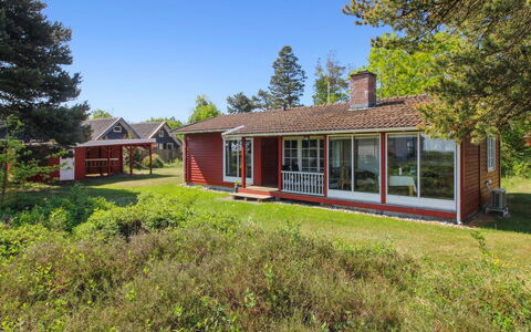 Asfrid - 3.5Km from the Sea: Pflanzengemeinschaft, Sonnenlicht, Krautige Pflanze, Garten, Plantage, Landwirtschaft, Bauernhof