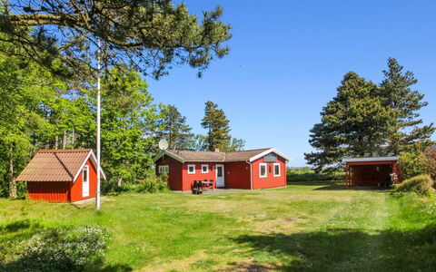 Asfrid - 3.5Km from the Sea: Pflanzengemeinschaft, Sonnenlicht, Krautige Pflanze, Garten, Plantage, Landwirtschaft, Bauernhof