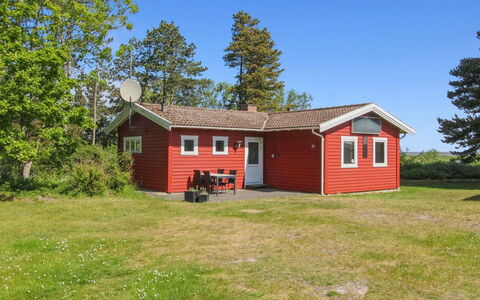Asfrid - 3.5Km from the Sea: Pflanzengemeinschaft, Sonnenlicht, Krautige Pflanze, Garten, Plantage, Landwirtschaft, Bauernhof