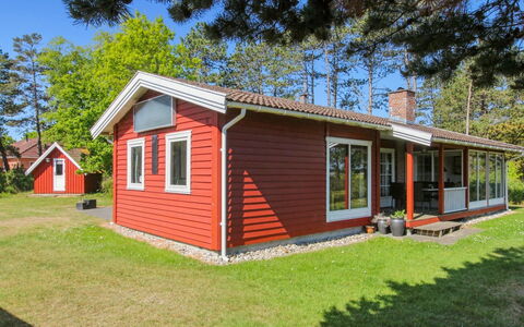 Asfrid - 3.5Km from the Sea: Pflanzengemeinschaft, Sonnenlicht, Krautige Pflanze, Garten, Plantage, Landwirtschaft, Bauernhof