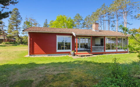 Asfrid - 3.5Km from the Sea: Pflanzengemeinschaft, Sonnenlicht, Krautige Pflanze, Garten, Plantage, Landwirtschaft, Bauernhof