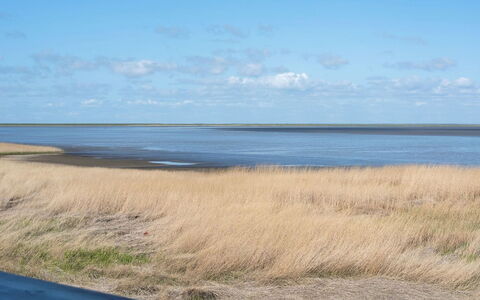 Deljan - 3.5Km from the Sea: Strauch, Urban Design, Ground, Backstein, Wohnung, Estate, Mauerwerk, Balkon, Landscaping