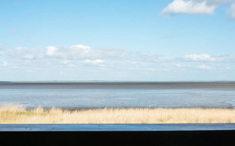 Deljan - 3.5Km from the Sea: Strauch, Urban Design, Ground, Backstein, Wohnung, Estate, Mauerwerk, Balkon, Landscaping