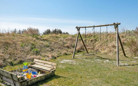 Wulfhild - 800M from the Sea: Pflanzengemeinschaft, Sonnenlicht, Krautige Pflanze, Garten, Plantage, Landwirtschaft, Bauernhof