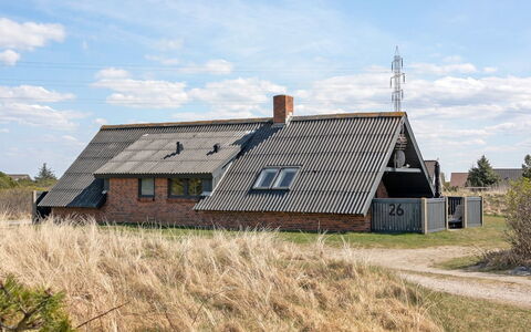 Wulfhild - 800M from the Sea: Pflanzengemeinschaft, Sonnenlicht, Krautige Pflanze, Garten, Plantage, Landwirtschaft, Bauernhof