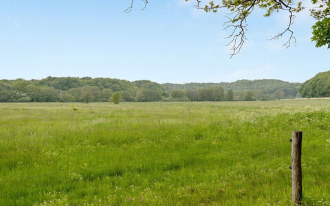 Rohan - 500M from the Sea: Grün, Gras, Wiese, Baum, Natürlichen Umgebung, Natürliche Landschaft, Vegetation, Weide, Einfach, Feld