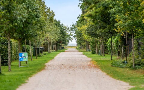 Rohan - 500M from the Sea: Grün, Blatt, Natur, Ast, Vegetation, Strauch, Garten, Frühling, Durchgangsstrasse, Kofferraum