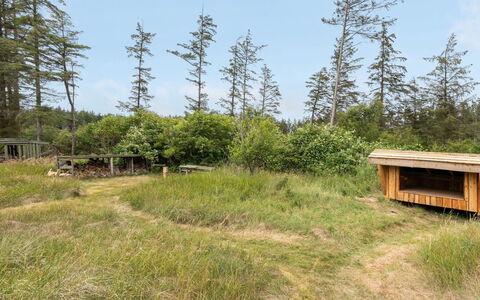 Jorek - 1.3Km from the Sea: Gras, Natürlichen Umgebung, Pflanzengemeinschaft, Wiese, Grundstueck, Ökoregion, Ländliches Gebiet, Wald