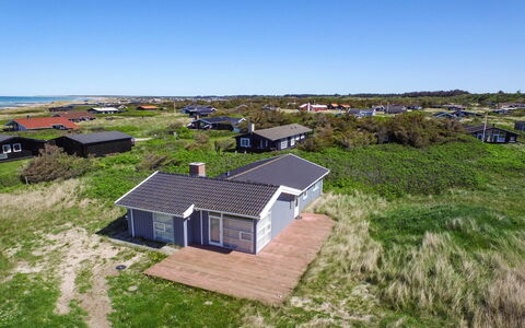 Gilbert - 96M from the Sea: Pflanzengemeinschaft, Sonnenlicht, Krautige Pflanze, Garten, Plantage, Landwirtschaft, Bauernhof