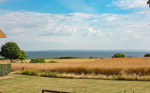 Edithe - 250M from the Sea: Himmel, Blau, Grün, Gras, Natürliche Landschaft, Wiese, Horizont, Einfach, Ökoregion