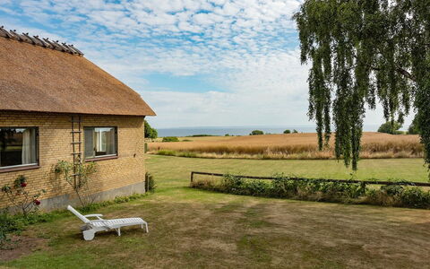 Edithe - 250M from the Sea: Grundstueck, Ländliches Gebiet, Hütte, Dachdecken, Feld, Wiese, Bauernhaus, Prärie, Bauernhof