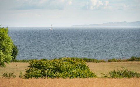 Edithe - 250M from the Sea: Himmel, Blau, Horizont, Wasser, Daytime, Gewässer, Wolke, Ökoregion, Wiese, Meer