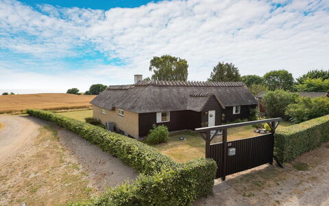 Edithe - 250M from the Sea: Gras, Dach, Haus, Hütte, Ländliches Gebiet, Zuhause, Grundstueck, Dachdecken, Bauernhaus, Dorf