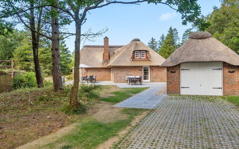 Romy - 3.5Km from the Sea: Gras, Haus, Dach, Zuhause, Hütte, Strauch, Grundstueck, Ländliches Gebiet, Bauernhaus, Ground