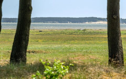 Elny - 500M to the Fjord: Pflanzengemeinschaft, Sonnenlicht, Krautige Pflanze, Garten, Plantage, Landwirtschaft, Bauernhof