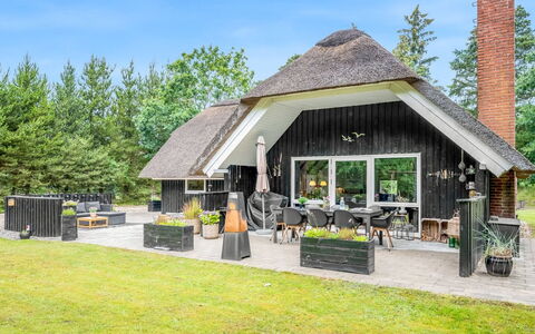 Arttu - 2.4Km from the Sea: Pflanzengemeinschaft, Sonnenlicht, Krautige Pflanze, Garten, Plantage, Landwirtschaft, Bauernhof