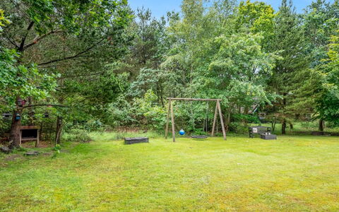 Arttu - 2.4Km from the Sea: Pflanzengemeinschaft, Sonnenlicht, Krautige Pflanze, Garten, Plantage, Landwirtschaft, Bauernhof