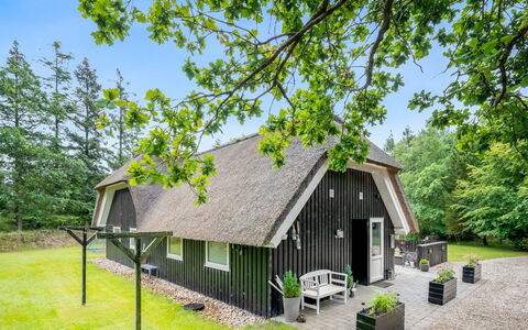 Arttu - 2.4Km from the Sea: Pflanzengemeinschaft, Sonnenlicht, Krautige Pflanze, Garten, Plantage, Landwirtschaft, Bauernhof