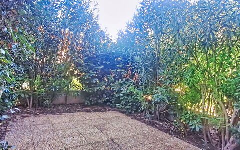 Six Fours 100: Gehölz, Garten