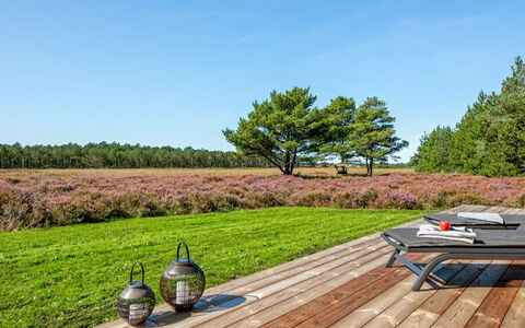 Tea - 2.7Km from the Sea: Strauch, Urban Design, Ground, Backstein, Wohnung, Estate, Mauerwerk, Balkon, Landscaping