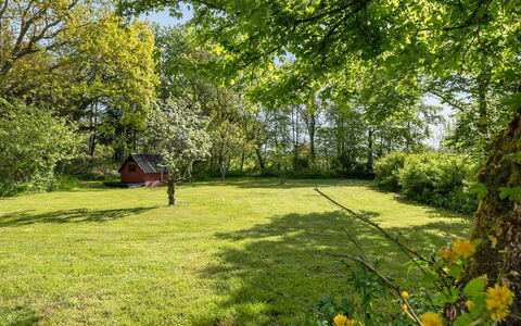 Iiro - 2.5Km from the Sea: Gras, Baum, Blatt, Grün, Natur, Natürlichen Umgebung, Ast, Vegetation, Natürliche Landschaft, Wiese