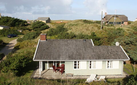 Edite - 500M from the Sea: Pflanzengemeinschaft, Sonnenlicht, Krautige Pflanze, Garten, Plantage, Landwirtschaft, Bauernhof