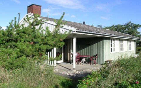 Edite - 500M from the Sea: Pflanzengemeinschaft, Sonnenlicht, Krautige Pflanze, Garten, Plantage, Landwirtschaft, Bauernhof