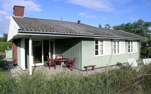 Edite - 500M from the Sea: Pflanzengemeinschaft, Sonnenlicht, Krautige Pflanze, Garten, Plantage, Landwirtschaft, Bauernhof