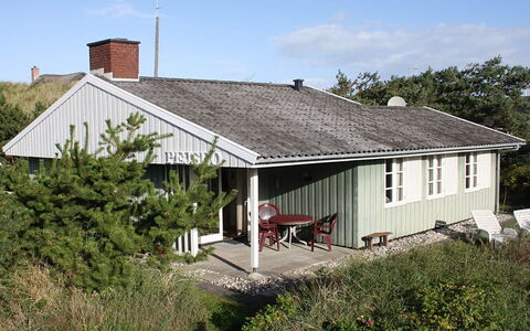 Edite - 500M from the Sea: Pflanzengemeinschaft, Sonnenlicht, Krautige Pflanze, Garten, Plantage, Landwirtschaft, Bauernhof