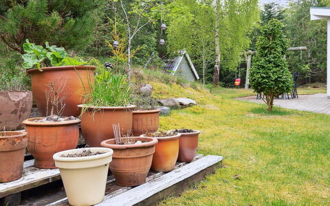 Seraphina - 2Km from the Sea: Grün, Blumentopf, Strauch, Garten, Zimmerpflanze, Hinterhof, Keramik, Garten