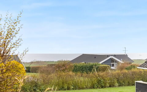Hera - 200M from the Sea: Pflanzengemeinschaft, Sonnenlicht, Krautige Pflanze, Garten, Plantage, Landwirtschaft, Bauernhof
