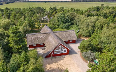 Jenna - 1.4Km from the Sea: Gras, Haus, Dach, Zuhause, Hütte, Strauch, Grundstueck, Ländliches Gebiet, Bauernhaus, Ground