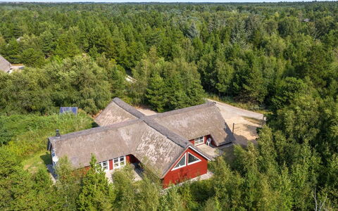 Jenna - 1.4Km from the Sea: Gras, Haus, Dach, Zuhause, Hütte, Strauch, Grundstueck, Ländliches Gebiet, Bauernhaus, Ground