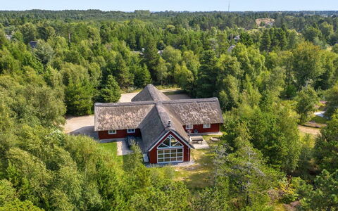 Jenna - 1.4Km from the Sea: Gras, Haus, Dach, Zuhause, Hütte, Strauch, Grundstueck, Ländliches Gebiet, Bauernhaus, Ground