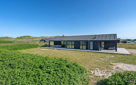 Aiko - 50M from the Sea: Pflanzengemeinschaft, Sonnenlicht, Krautige Pflanze, Garten, Plantage, Landwirtschaft, Bauernhof
