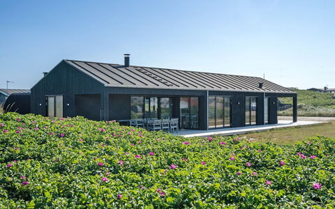 Aiko - 50M from the Sea: Pflanzengemeinschaft, Sonnenlicht, Krautige Pflanze, Garten, Plantage, Landwirtschaft, Bauernhof