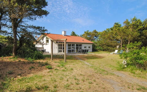 Konrad - 400M from the Sea: Pflanzengemeinschaft, Sonnenlicht, Krautige Pflanze, Garten, Plantage, Landwirtschaft, Bauernhof