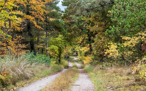 Eimi - 1.5Km from the Sea: Dach, Zuhause, Tür, Hütte, Schatten, Abstellgleis, Garten, Estate, Hinterhof