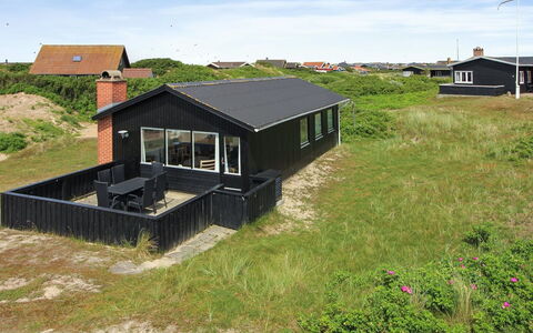 Terhi - 200M from the Sea: Pflanzengemeinschaft, Sonnenlicht, Krautige Pflanze, Garten, Plantage, Landwirtschaft, Bauernhof