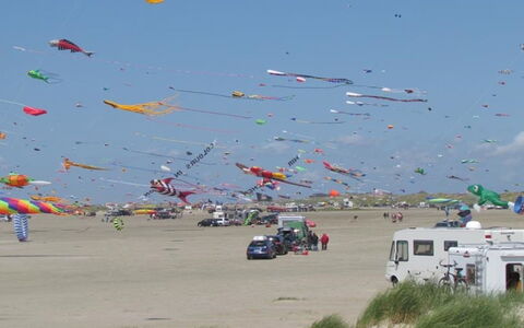 Halina - 100M from the Sea