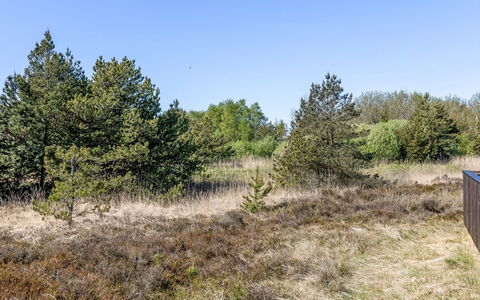 Sara - 2.5Km from the Sea: Gras, Haus, Dach, Zuhause, Hütte, Strauch, Grundstueck, Ländliches Gebiet, Bauernhaus, Ground