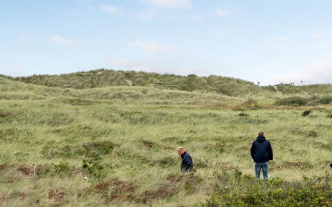 Betti - 300M from the Sea: Gras, Haus, Dach, Zuhause, Hütte, Strauch, Grundstueck, Ländliches Gebiet, Bauernhaus, Ground