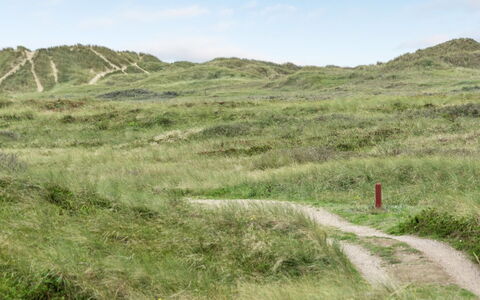 Betti - 300M from the Sea: Gras, Haus, Dach, Zuhause, Hütte, Strauch, Grundstueck, Ländliches Gebiet, Bauernhaus, Ground