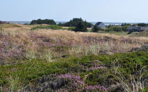Arli - 800M from the Sea: Haus, Zuhause, Dach, Hütte, Strauch, Abstellgleis, Tür, Garten, Bauernhaus