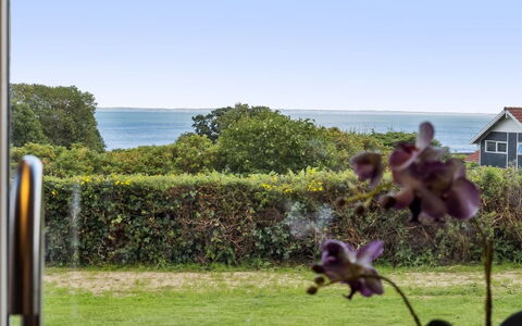 Aarne - 300M from the Sea: Hütte, Zuhause, Haus, Dach, Veranda, Estate, Abstellgleis, Gartenbauten, Bauernhaus, Garten