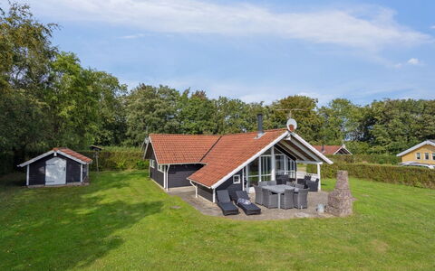 Frosina - 300M from the Sea: Pflanzengemeinschaft, Sonnenlicht, Krautige Pflanze, Garten, Plantage, Landwirtschaft, Bauernhof