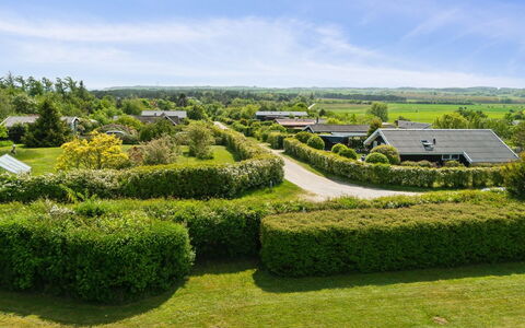 Stygge - 400M from the Sea: Grün, Gras, Vegetation, Strauch, Landschaft, Wolke, Grundstueck, Garten, Wiese