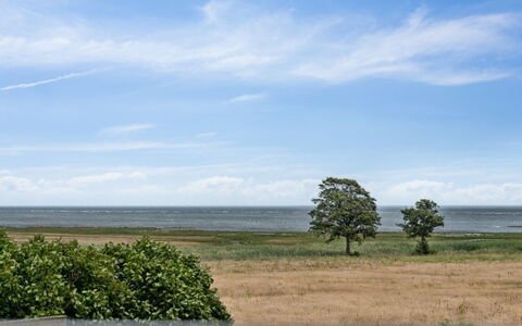 Amely - 500M from the Sea: Himmel, Blau, Daytime, Wolke, Horizont, Gras, Natürliche Landschaft, Wiese, Ökoregion, Einfach