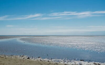 Amely - 500M from the Sea