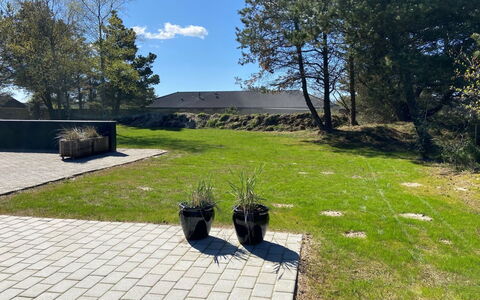 Barba - 2Km from the Sea: Gras, Strauch, Garten, Grundstueck, Rasen, Ground, Flagstone, Schatten, Landscaping